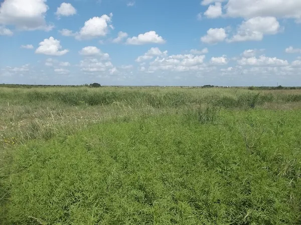 $445,000 | 2931 Cr 414 Brady Tx 76825, Brady, TX 76825