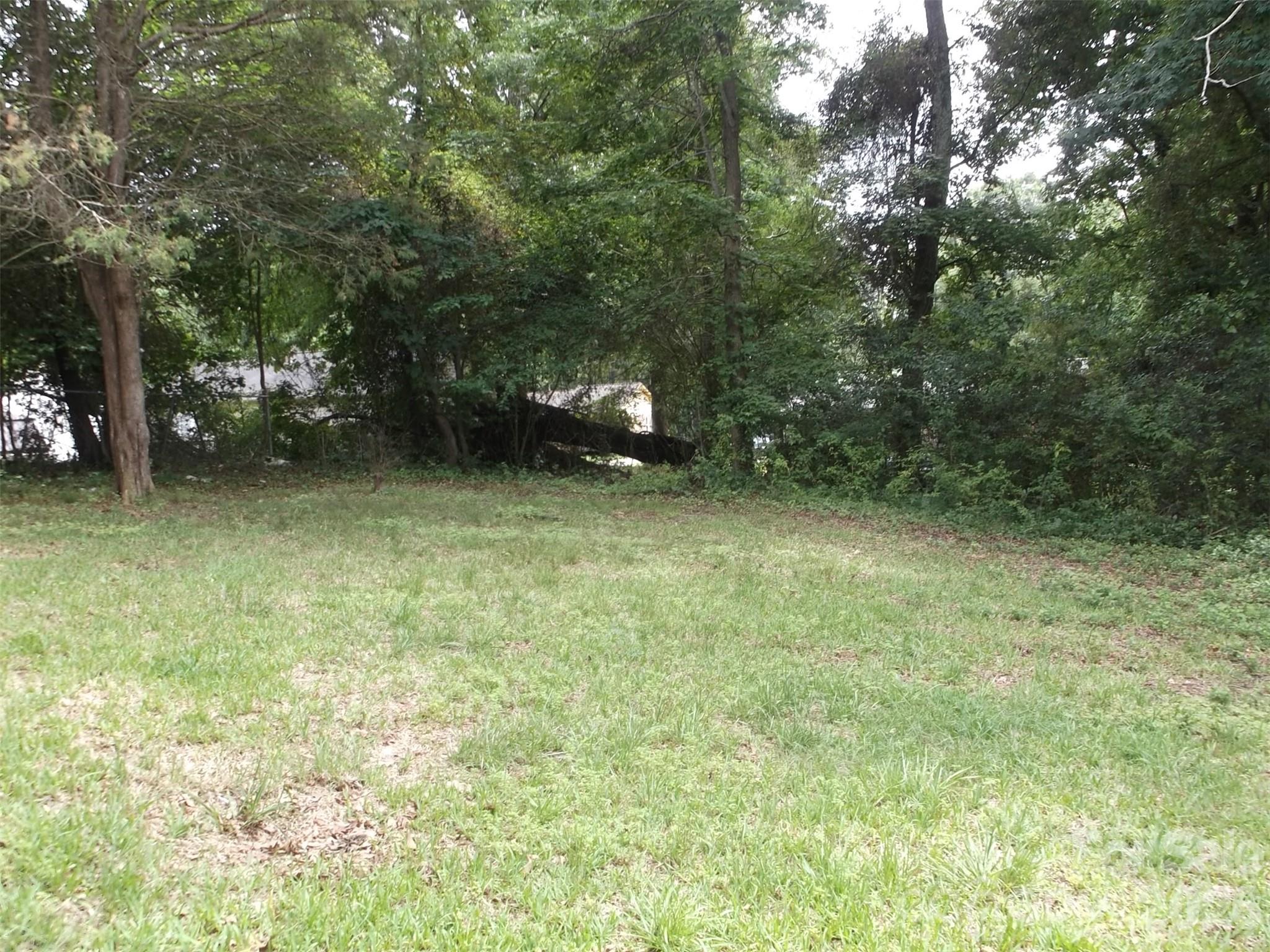 310 Arbor Street Wadesboro, NC 28170 - Photo 4 of 10