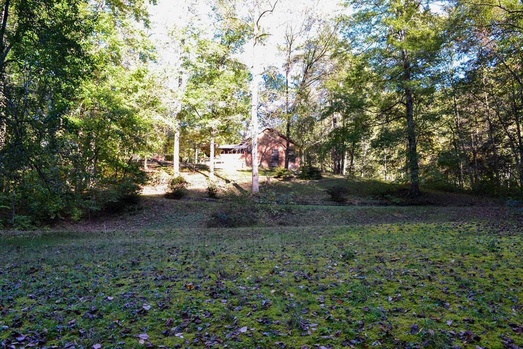 1902 Wears Valley Road Sevierville, TN 37862 - Photo 35 of 48 Gallery Image 35