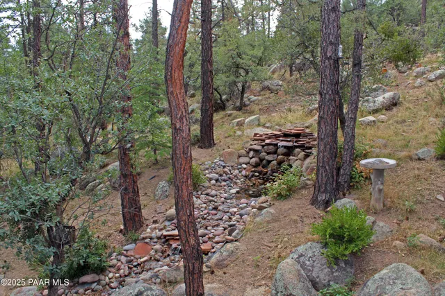 a view of a pathway of a forest