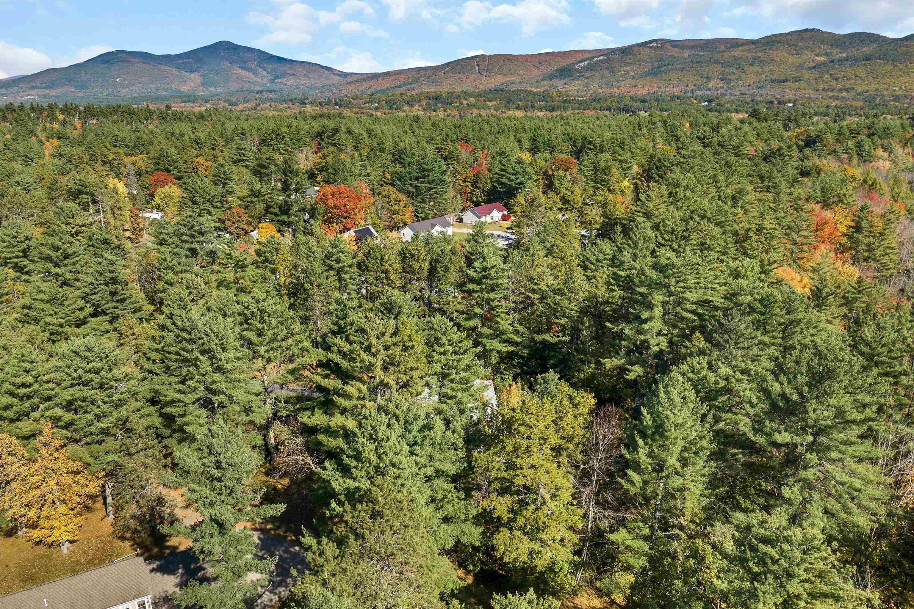 189 Dandiview Road Conway, NH 03860 - Photo 2 of 52