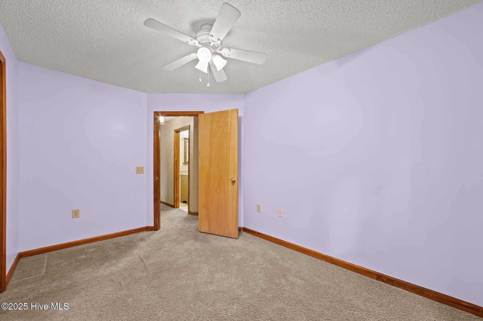 126 Hill Creek Road Chocowinity, NC 27817 - Photo 28 of 52 Guest Bedroom