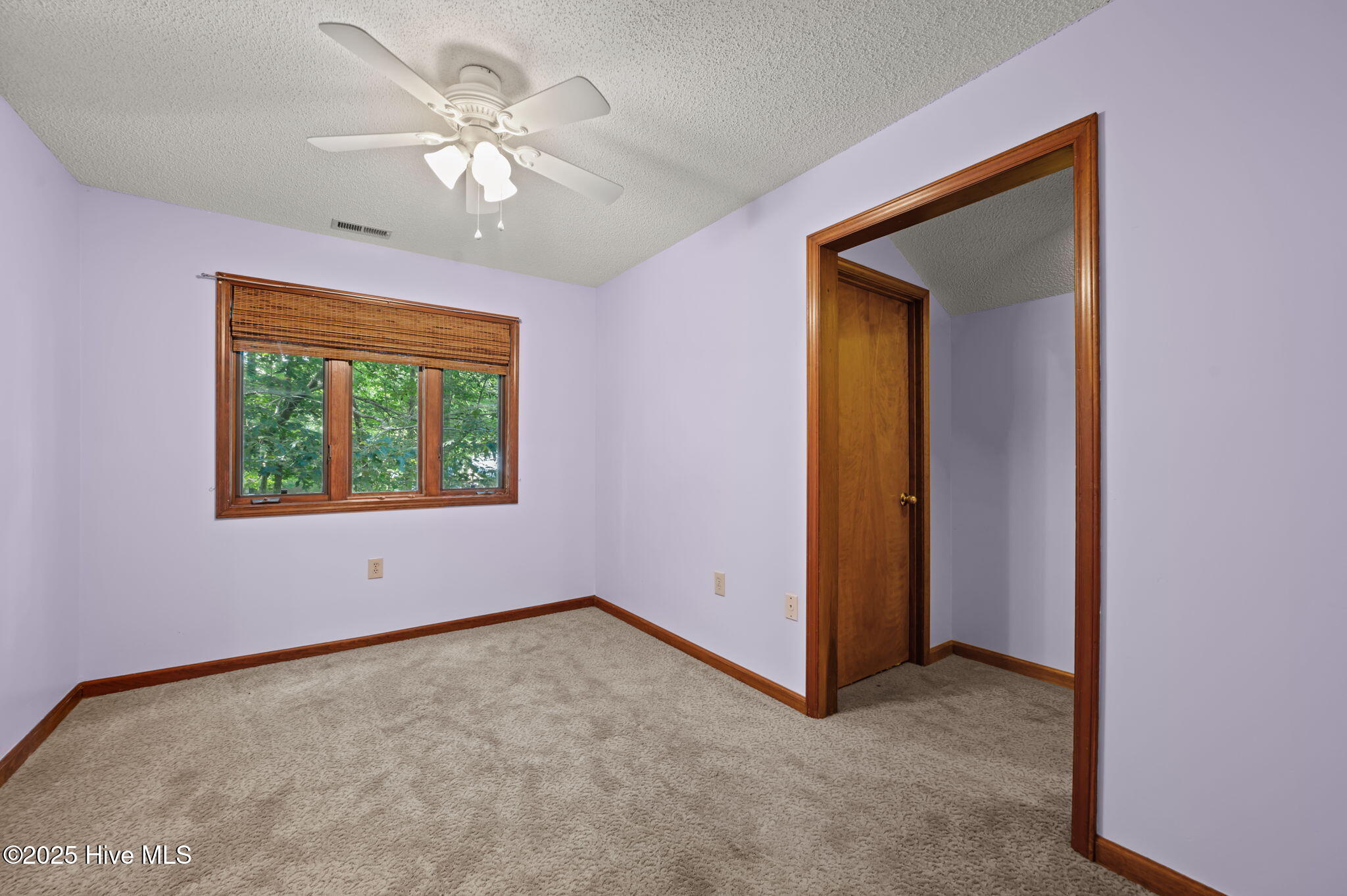 126 Hill Creek Road Chocowinity, NC 27817 - Photo 29 of 52 Guest Bedroom