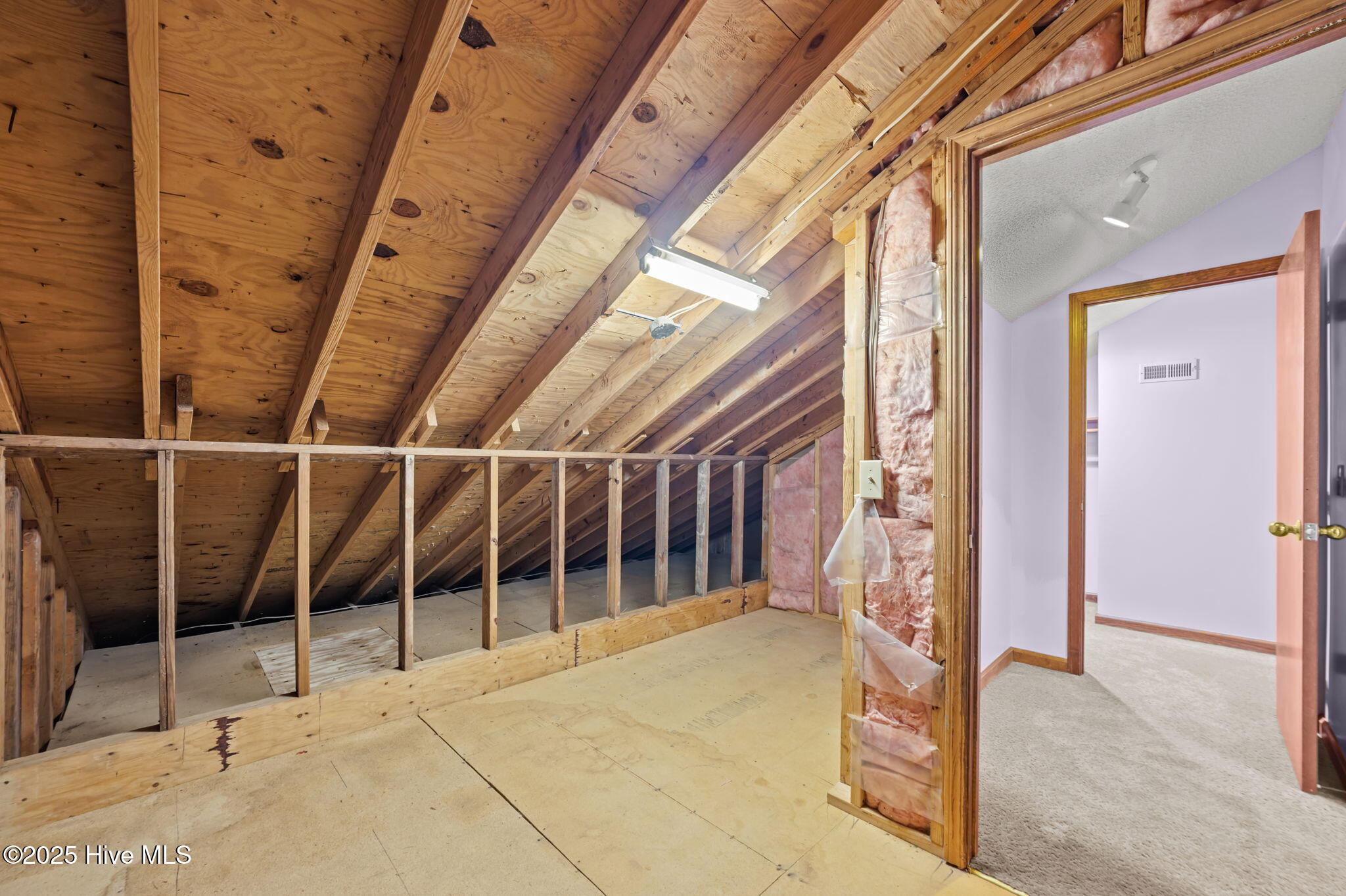 126 Hill Creek Road Chocowinity, NC 27817 - Photo 35 of 52 Attic Storage