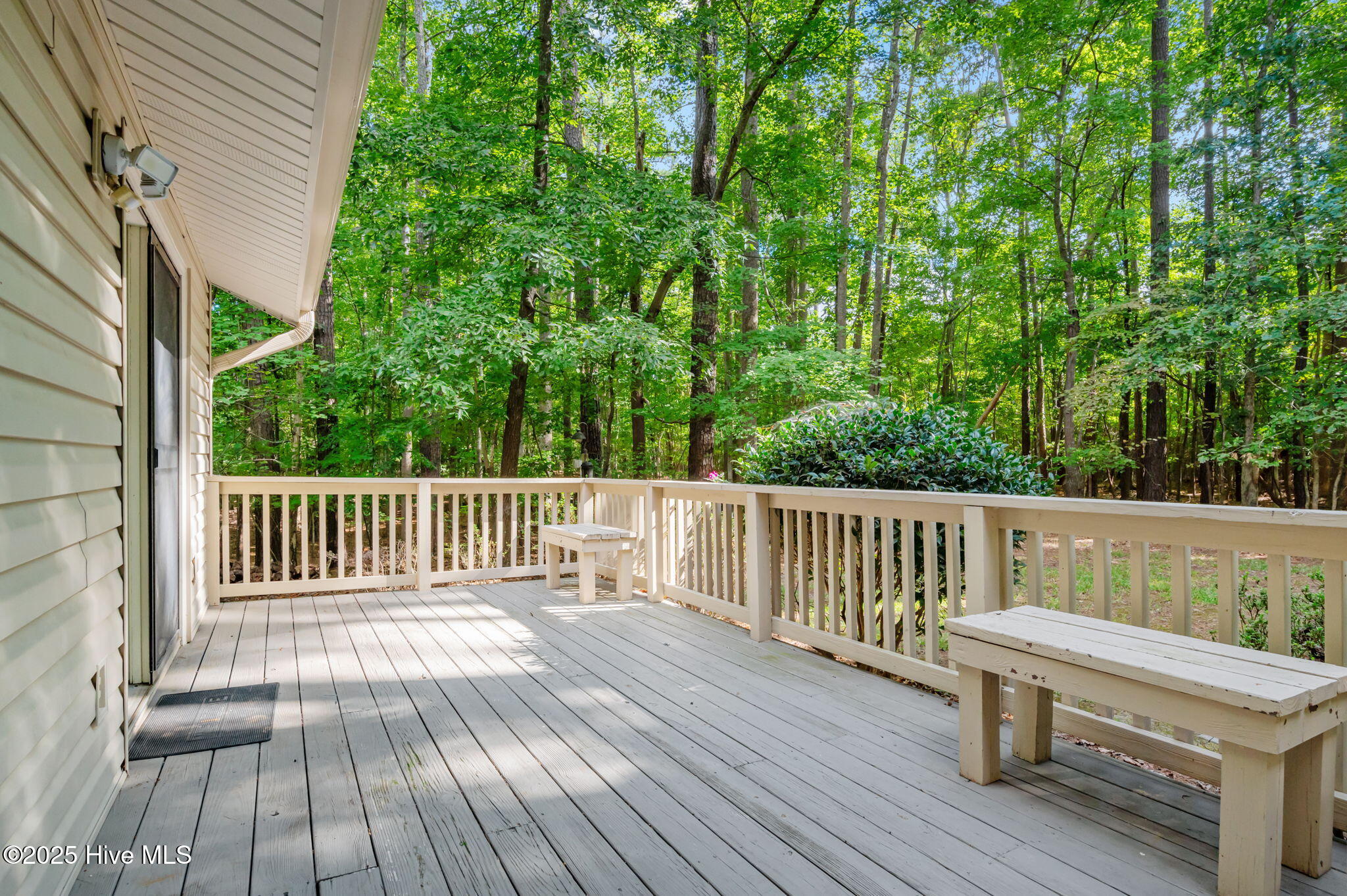 126 Hill Creek Road Chocowinity, NC 27817 - Photo 37 of 52 Back Deck