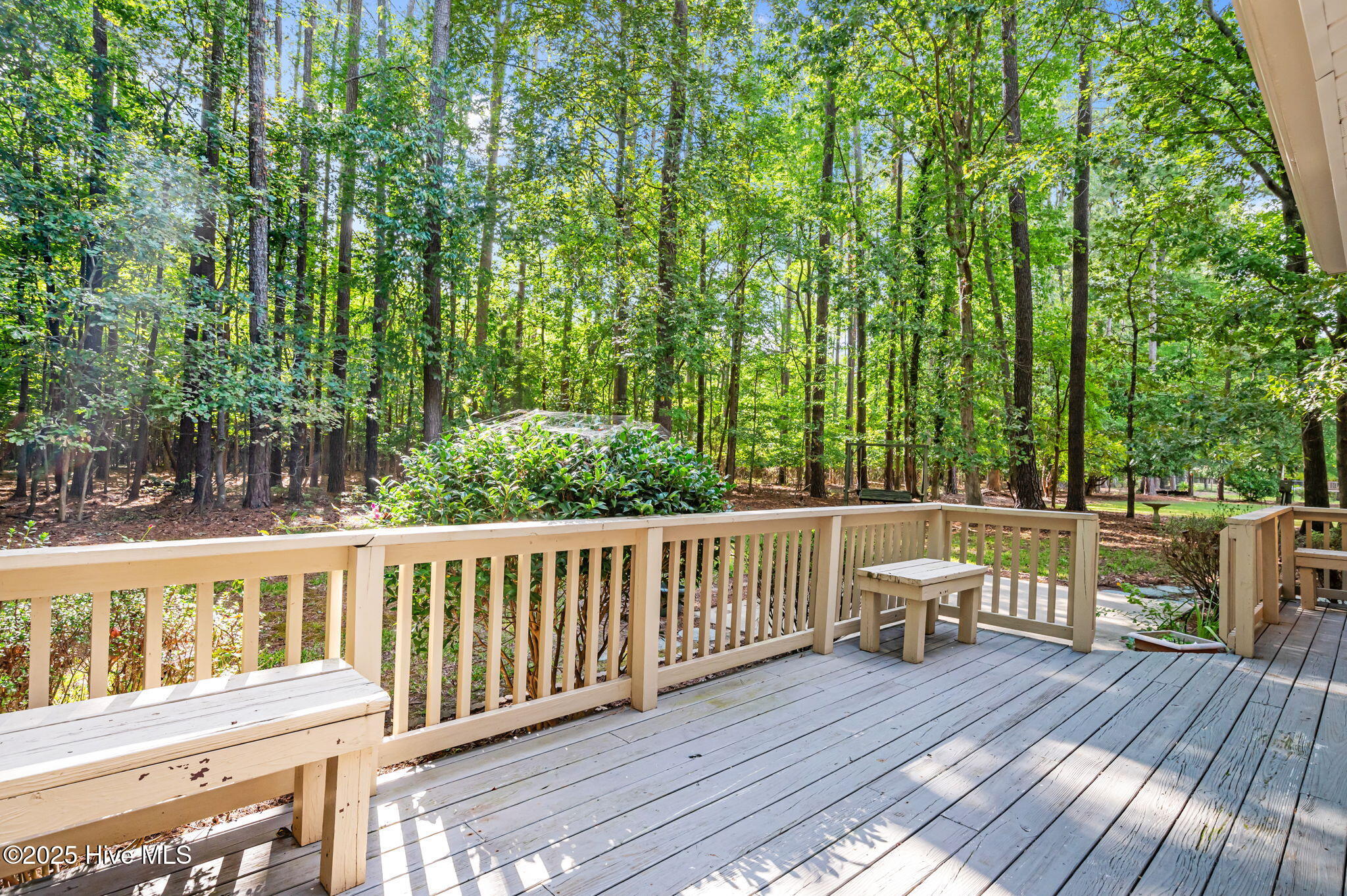 126 Hill Creek Road Chocowinity, NC 27817 - Photo 38 of 52 Back Deck