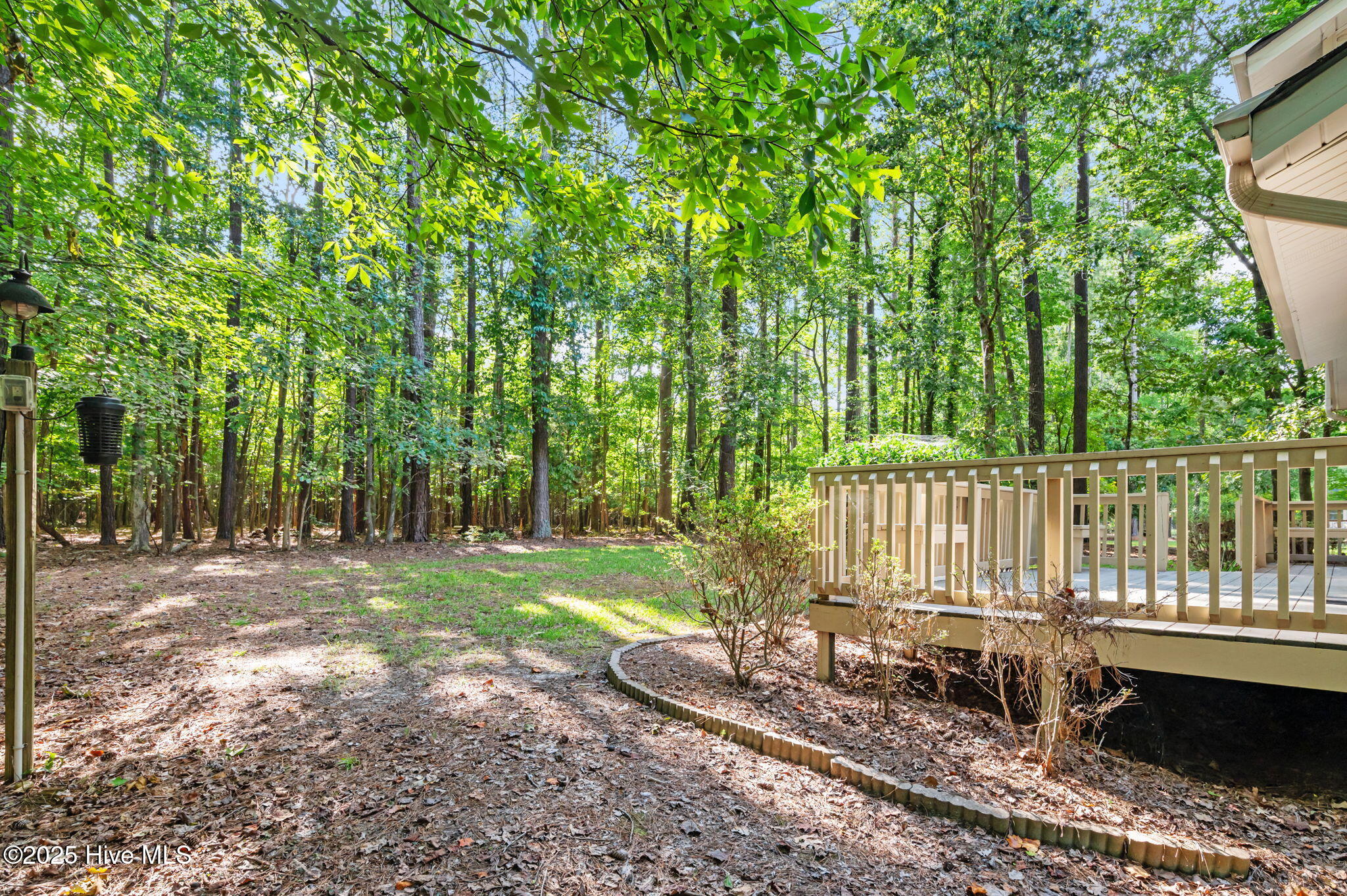 126 Hill Creek Road Chocowinity, NC 27817 - Photo 42 of 52 Backyard