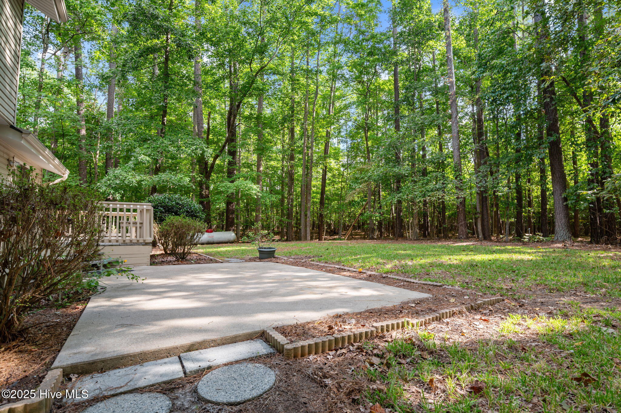 126 Hill Creek Road Chocowinity, NC 27817 - Photo 43 of 52 Back Patio