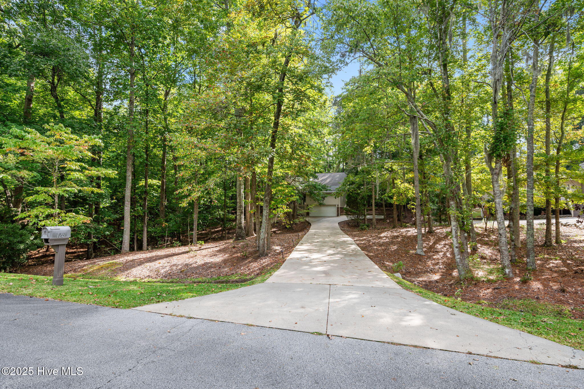 126 Hill Creek Road Chocowinity, NC 27817 - Photo 44 of 52 Driveway View