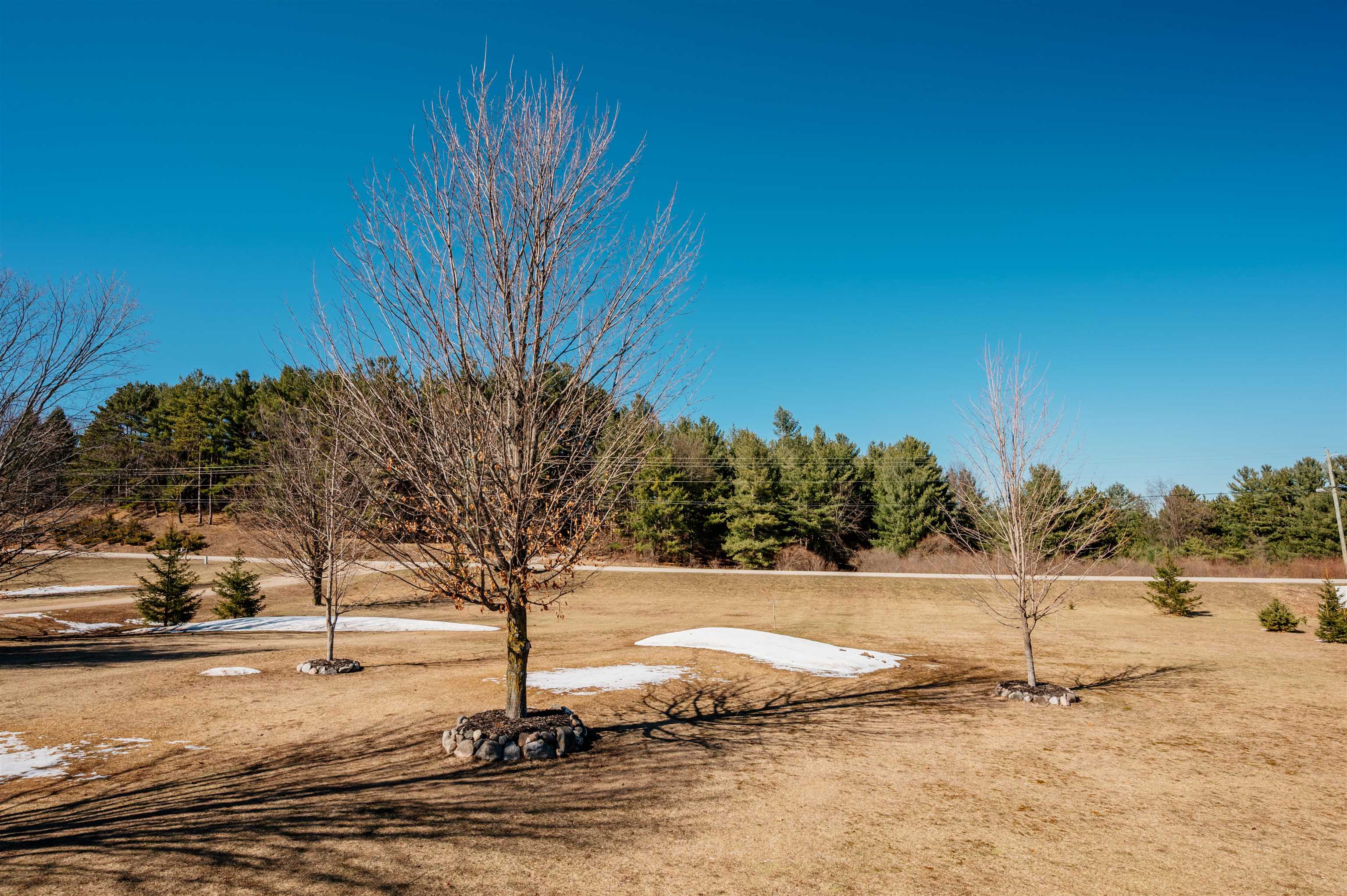 9812 Deal Road Williamsburg, MI 49690 - Photo 83 of 92