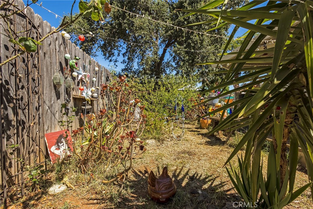 2232 Park Avenue Oroville, CA 95966 - Photo 42 of 55 2252 Park Ave backyard