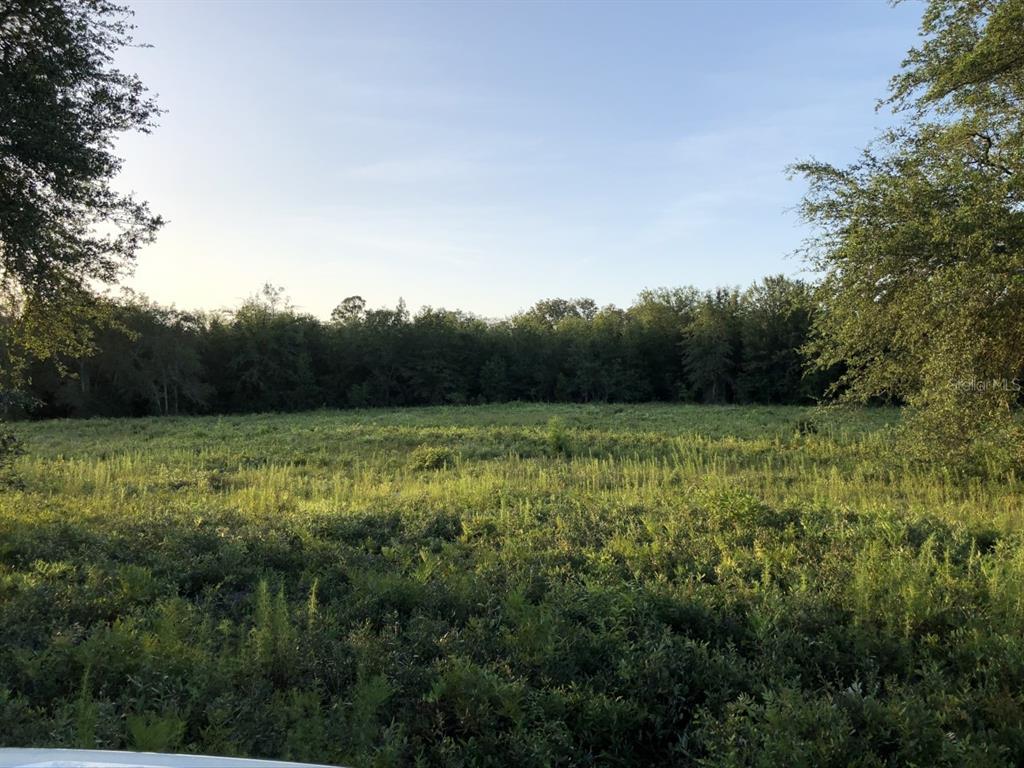 10002 147th Road Live Oak, FL 32060 - Photo 1 of 1 Beautiful almost 10 acre parcel!