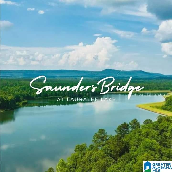 Lot 12 Saunders Bridge Road, Unit LOTS 12 & 13 Sterrett, AL 35147 - Photo 1 of 1