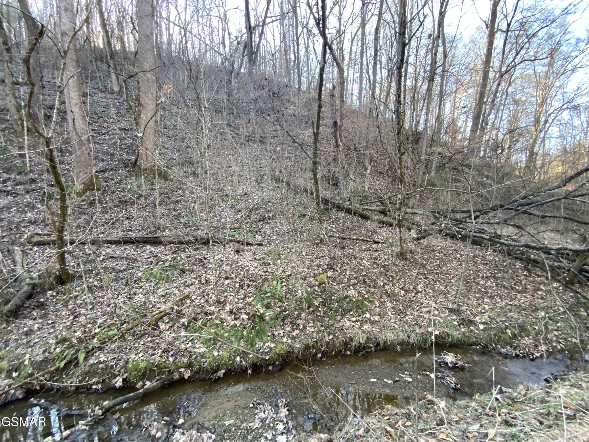 1 McCarter Hollow Road Sevierville, TN 37862 - Photo 12 of 21 Gallery Image 12