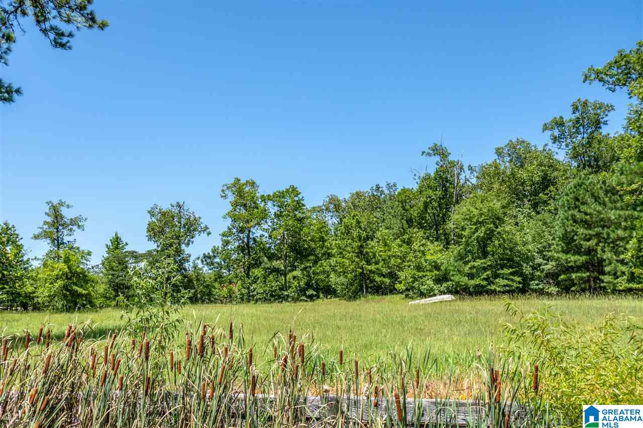 827 Colleton Forest Way, Unit 20 ACRES Vincent, AL 35178 - Photo 18 of 31
