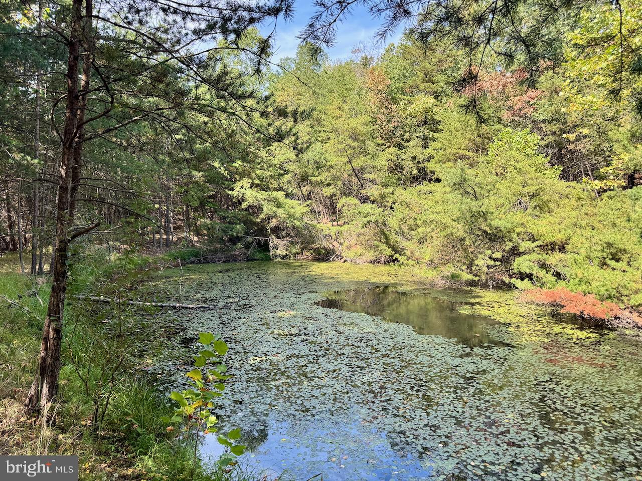 Easter Ridge Lane Winchester, VA 22603 - Photo 2 of 13 a view of lake with tree