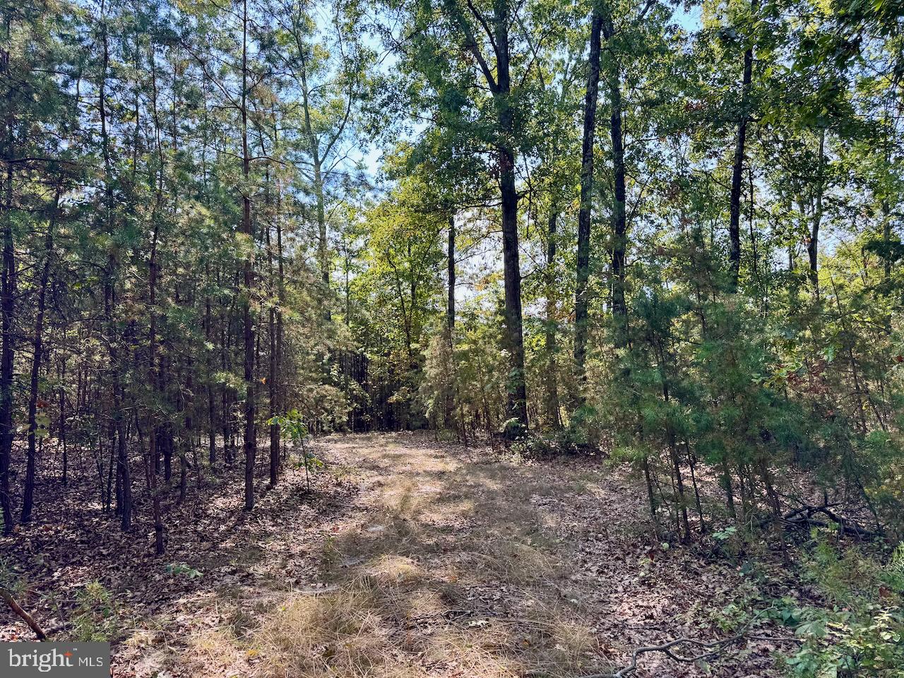 Easter Ridge Lane Winchester, VA 22603 - Photo 3 of 13 a view of outdoor space and trees