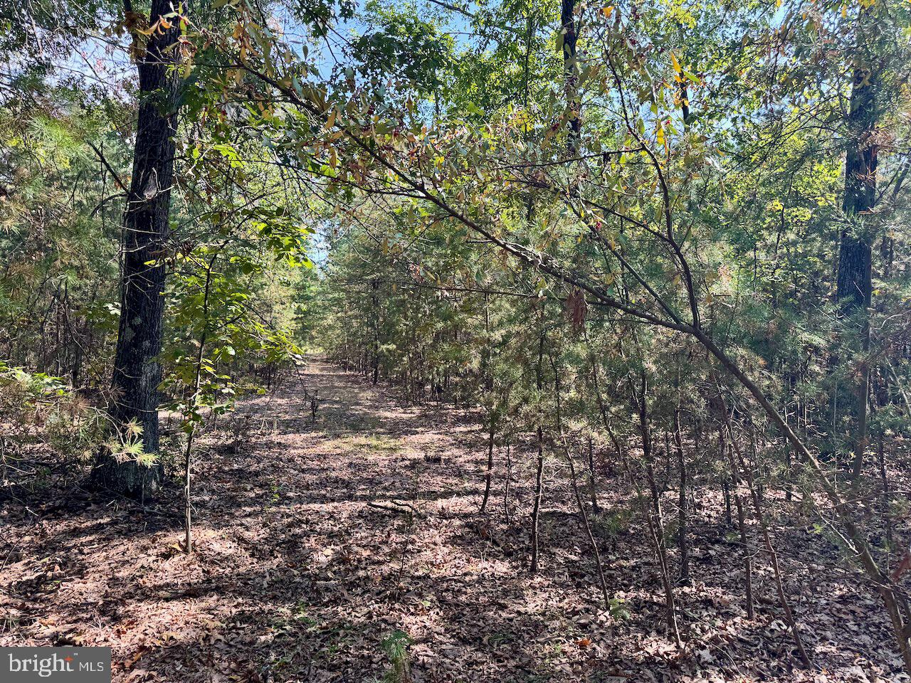 Easter Ridge Lane Winchester, VA 22603 - Photo 7 of 13 a view of a yard with a tree