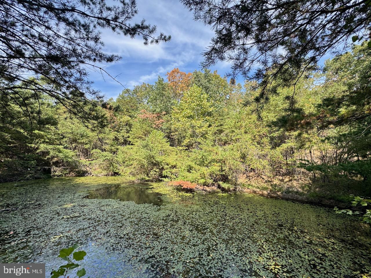 Easter Ridge Lane Winchester, VA 22603 - Photo 10 of 13 a view of a yard