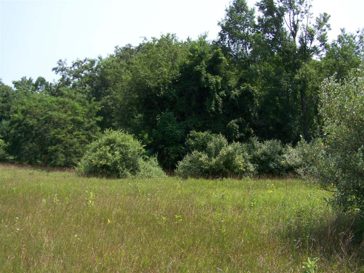40-acres Monroe Road Hart, MI 49420 - Photo 3 of 5