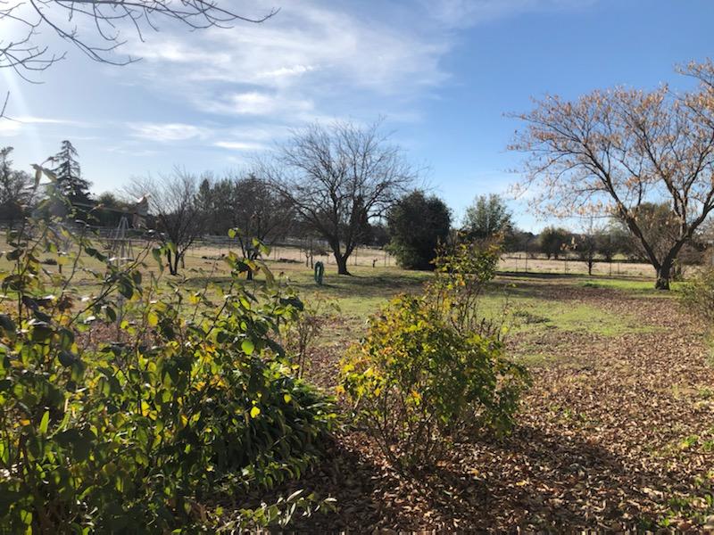 22325 Brent Road Red Bluff, CA 96080 - Photo 25 of 36 a view of a lake with houses