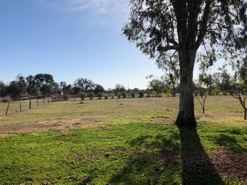 22325 Brent Road Red Bluff, CA 96080 - Photo 29 of 36 a view of lake with green space