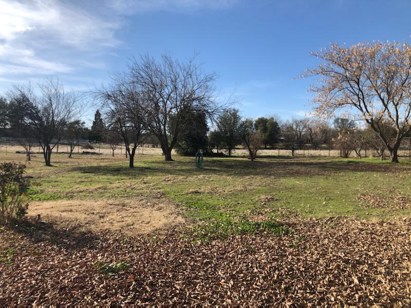 22325 Brent Road Red Bluff, CA 96080 - Photo 31 of 36 a view of outdoor space with deck and yard