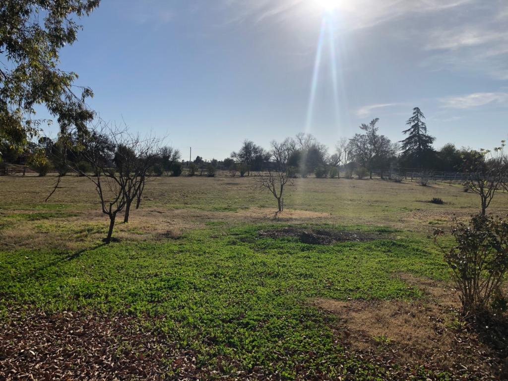 22325 Brent Road Red Bluff, CA 96080 - Photo 32 of 36 a view of a lake with a big yard