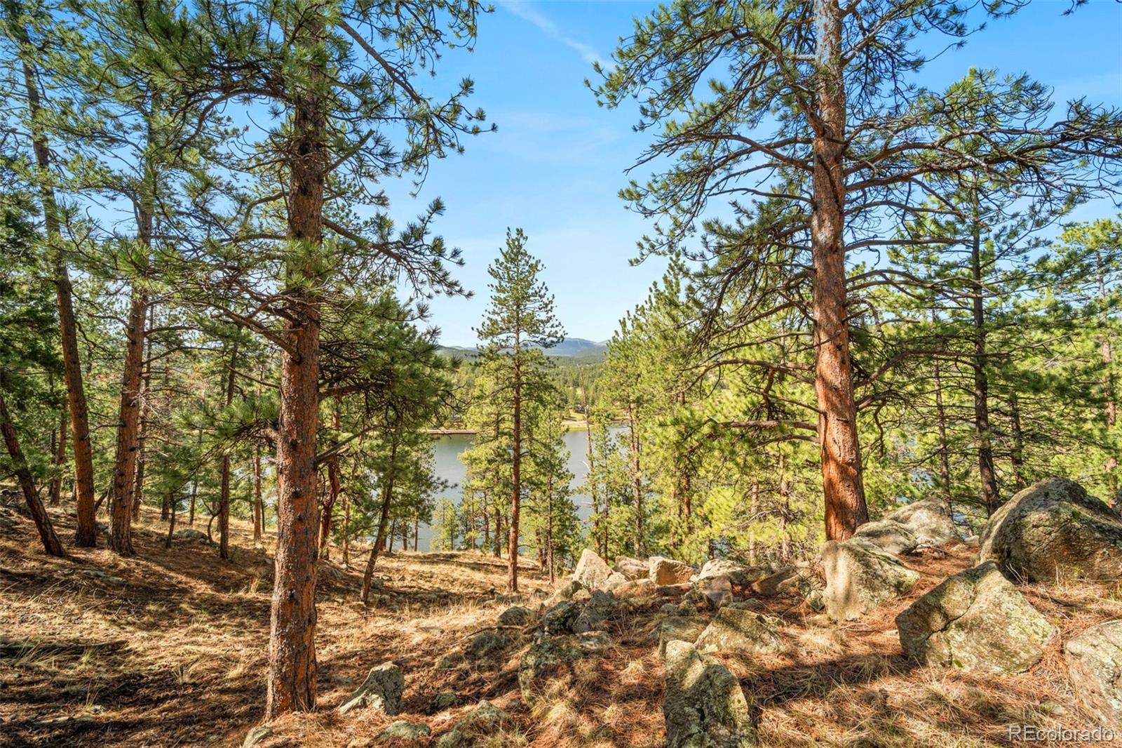 28480 Douglas Park Road Evergreen, CO 80439 - Photo 7 of 47