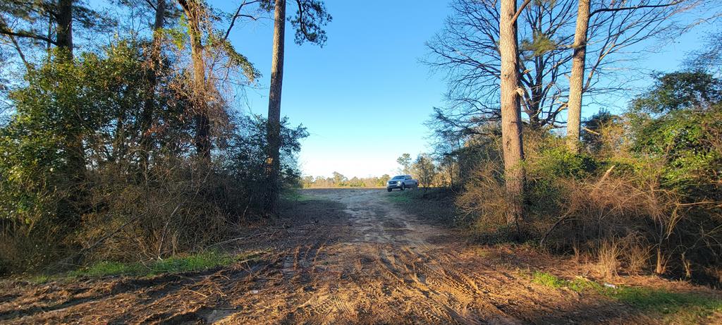 50.45-acres Trawick Road Dothan, AL 36301 - Photo 10 of 62