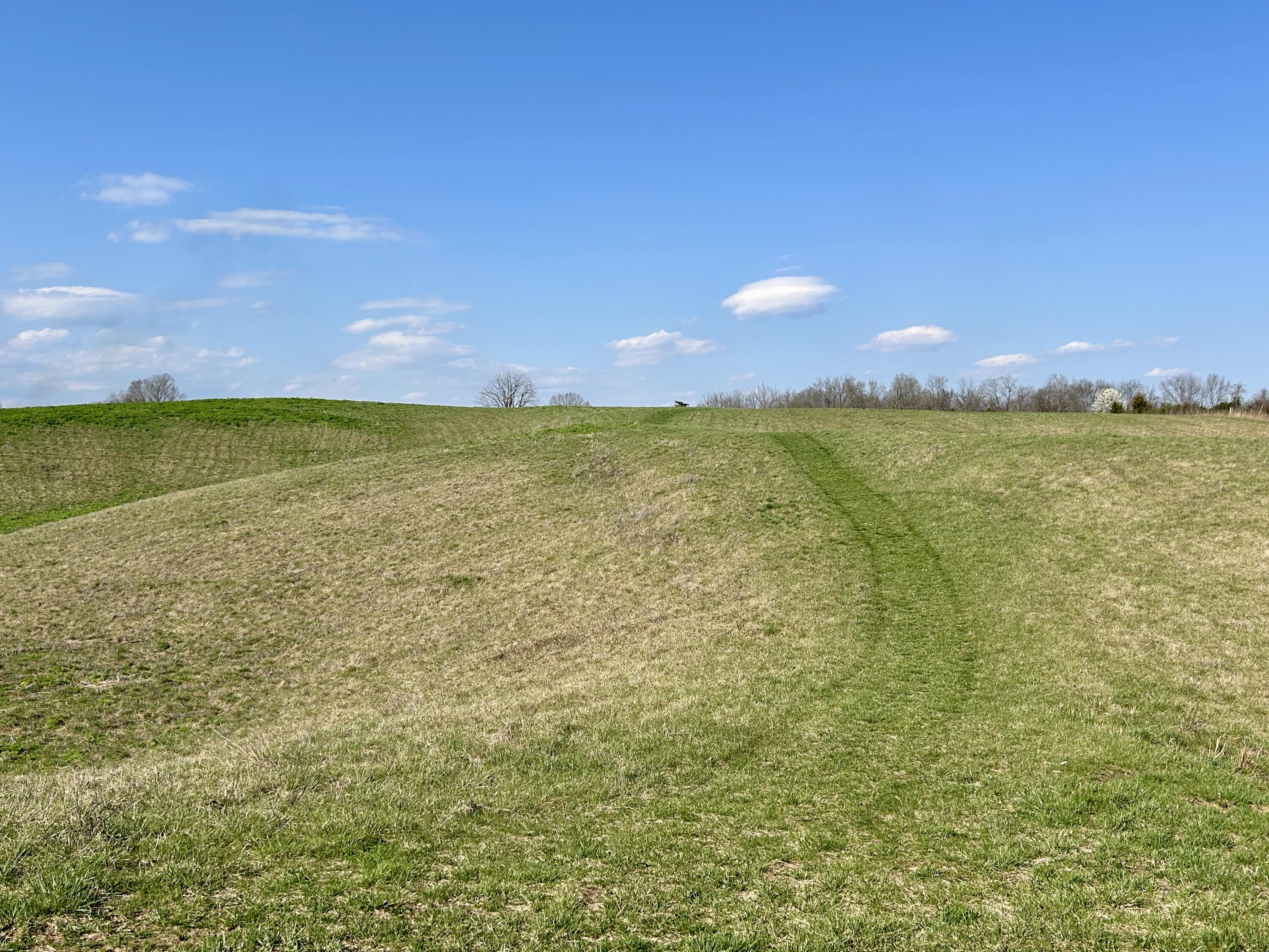 1178 Jacksboro Road Bronston, KY 42518 - Photo 4 of 13 IMG_E8963
