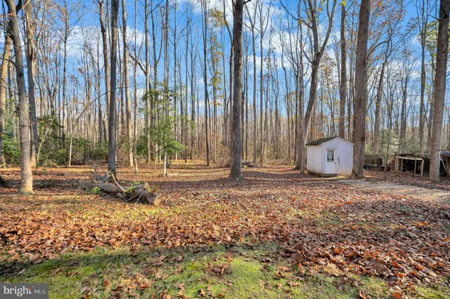a view of a backyard with potted plants and large trees