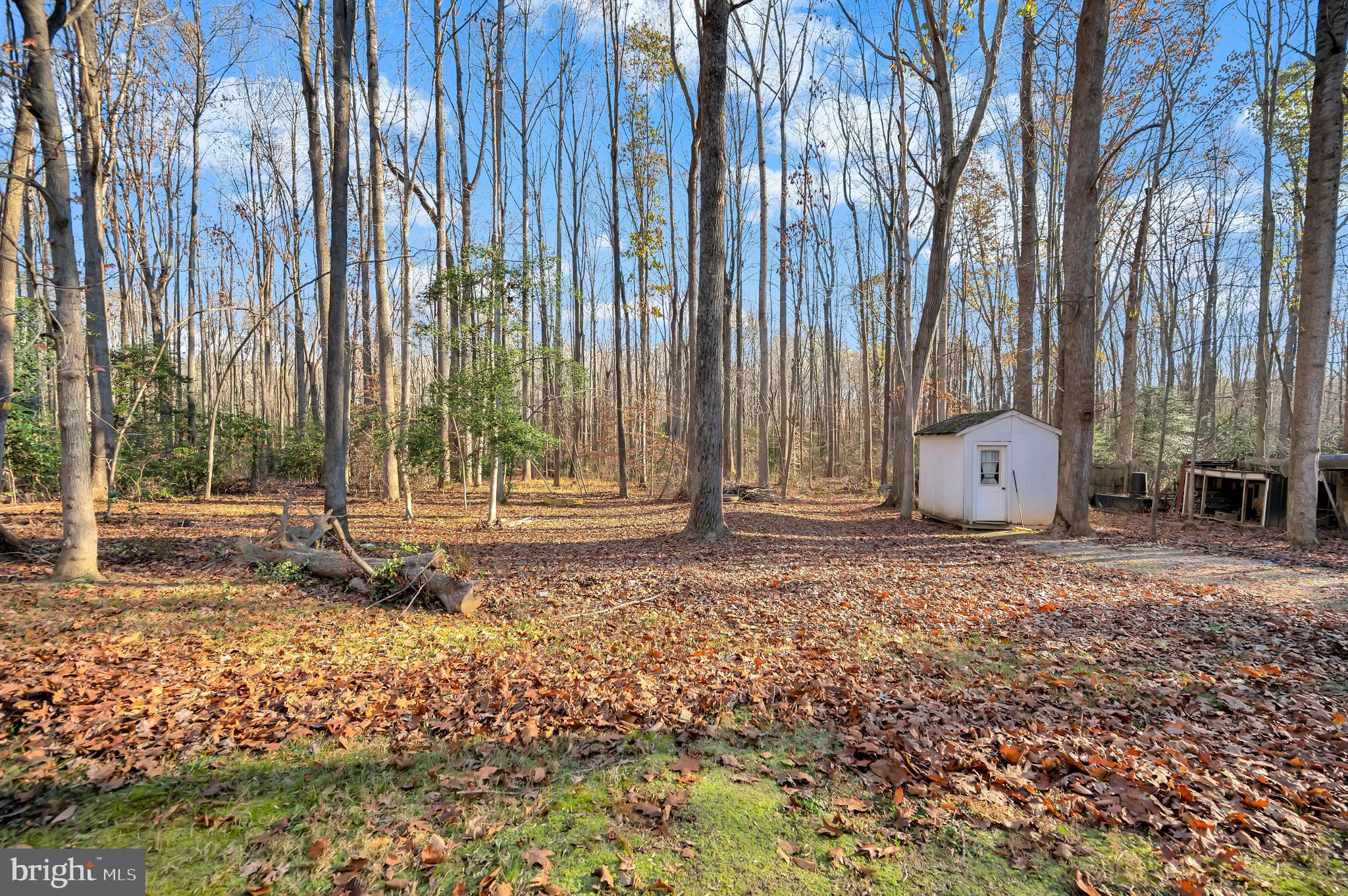 18 Winslow Road Fredericksburg, VA 22406 - Photo 46 of 49 a view of a backyard with potted plants and large trees