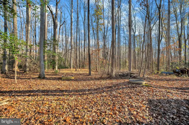 a backyard of a house with lawn chairs