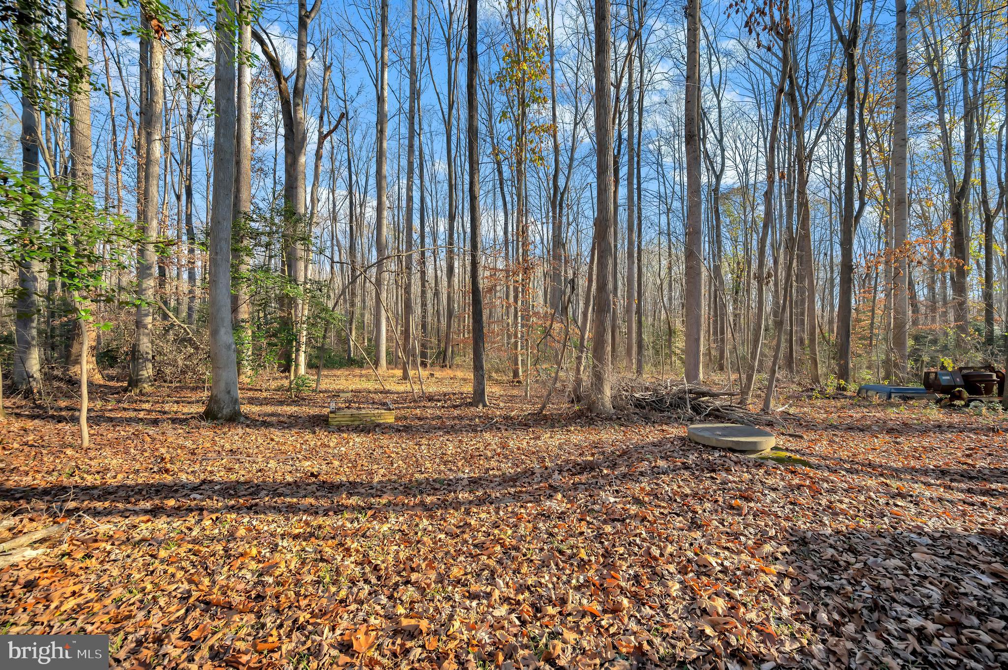 18 Winslow Road Fredericksburg, VA 22406 - Photo 48 of 49 a backyard of a house with lawn chairs