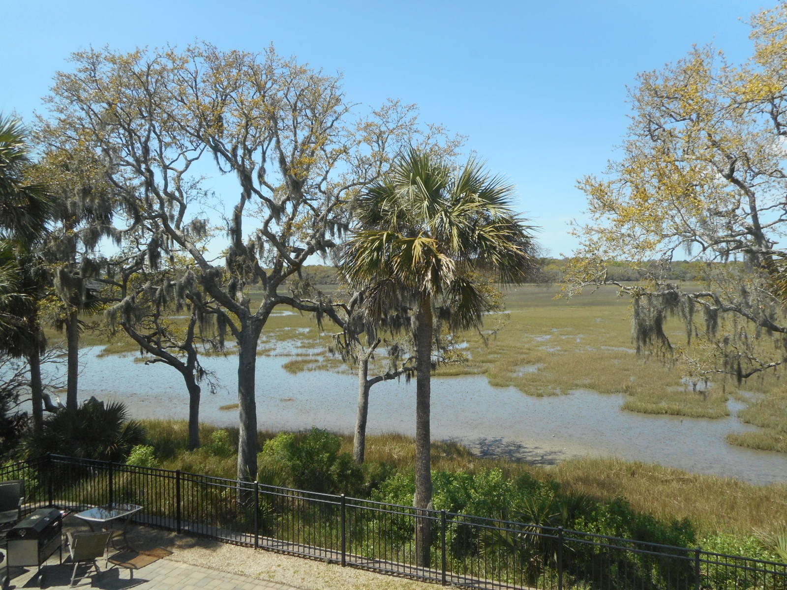 131 Jungle Road Edisto Beach, SC 29438 - Photo 42 of 47 131 Jungle Road (47)