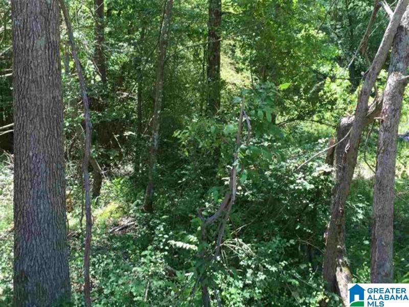 Whites Gap Road, Unit 18 96 Jacksonville, AL 36265 - Photo 3 of 5