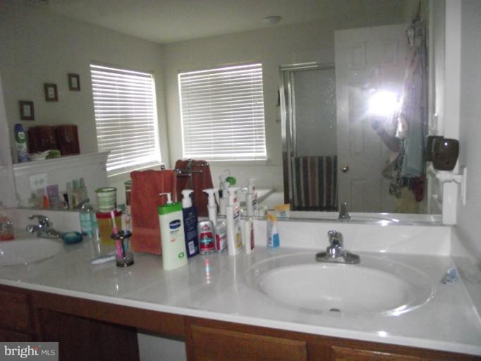 872 Autumn Ridge Road Culpeper, VA 22701 - Photo 2 of 21 Bath (Master)