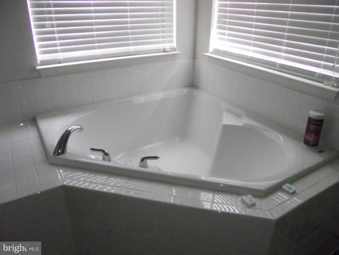 872 Autumn Ridge Road Culpeper, VA 22701 - Photo 12 of 21 Bath (Master)