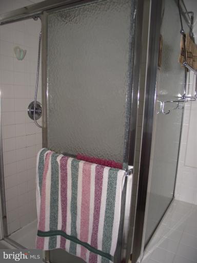 872 Autumn Ridge Road Culpeper, VA 22701 - Photo 13 of 21 Bath (Master)