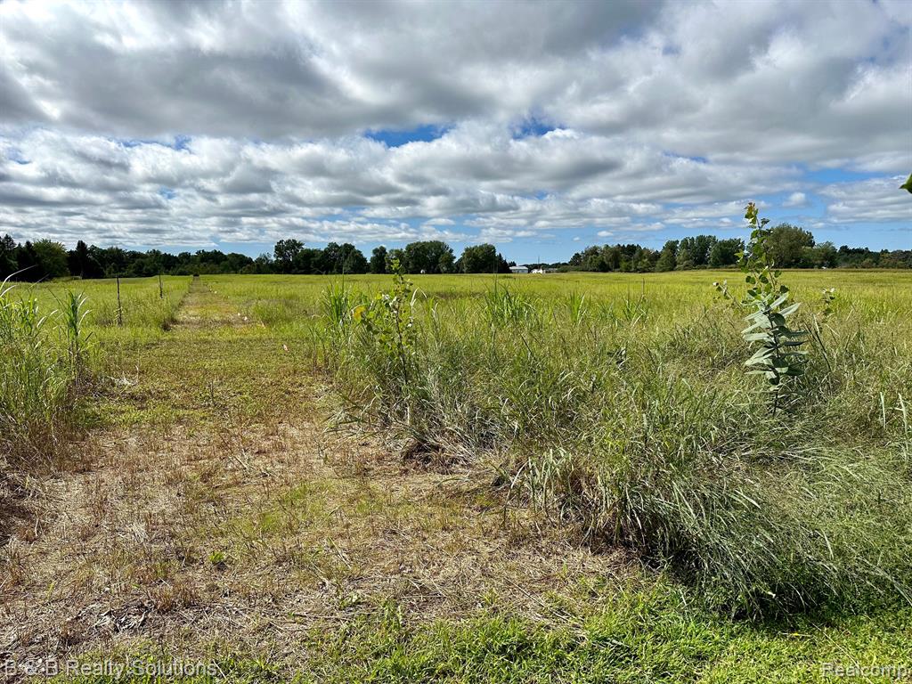 0 Fish Lake Road North Branch, MI 48461 - Photo 16 of 20