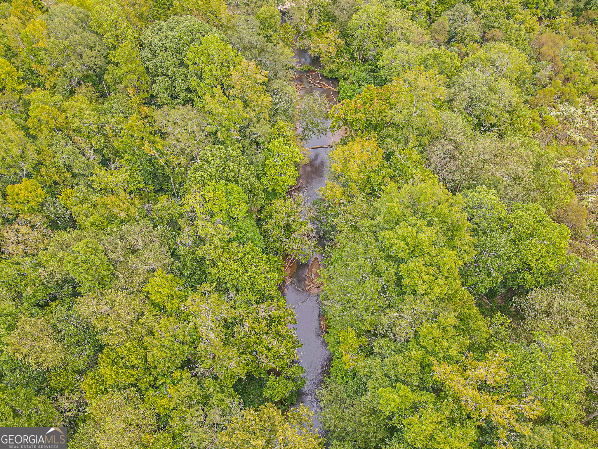 0 Freedom Lane, Unit 18C Commerce, GA 30530 - Photo 4 of 17