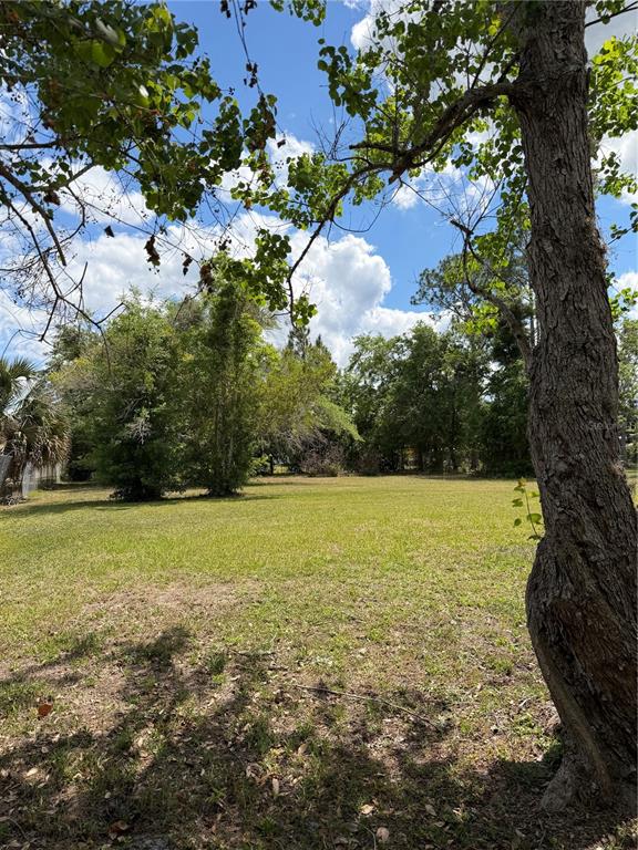 24138 Panther Road Astor, FL 32102 - Photo 25 of 34