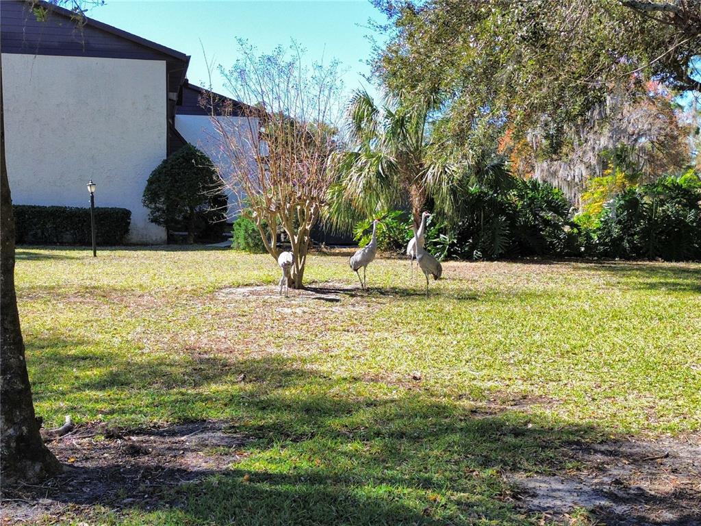 512 Fairways Circle, Unit A Ocala, FL 34472 - Photo 25 of 30