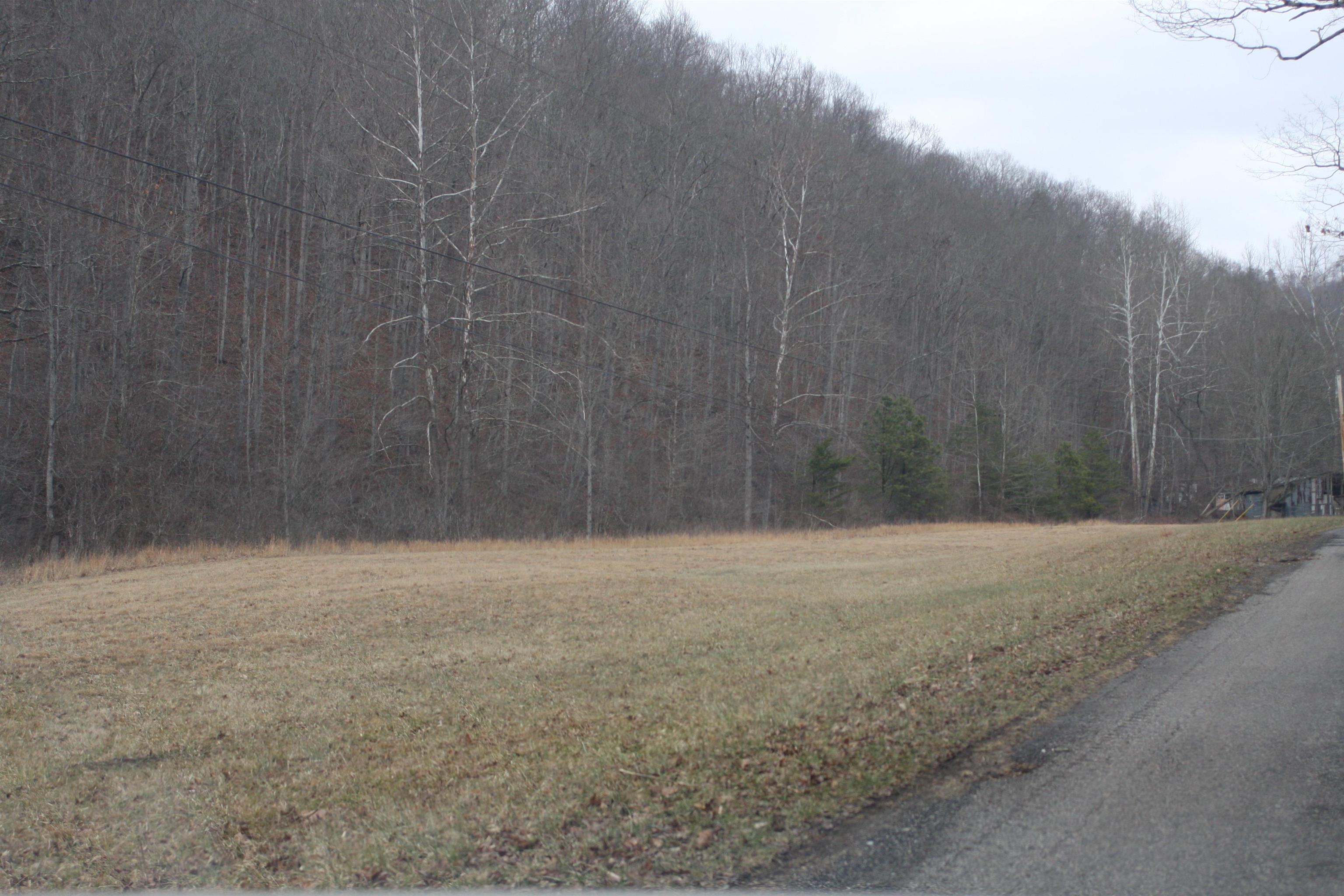 Boone Branch Road Garrison, KY 41141 - Photo 15 of 19
