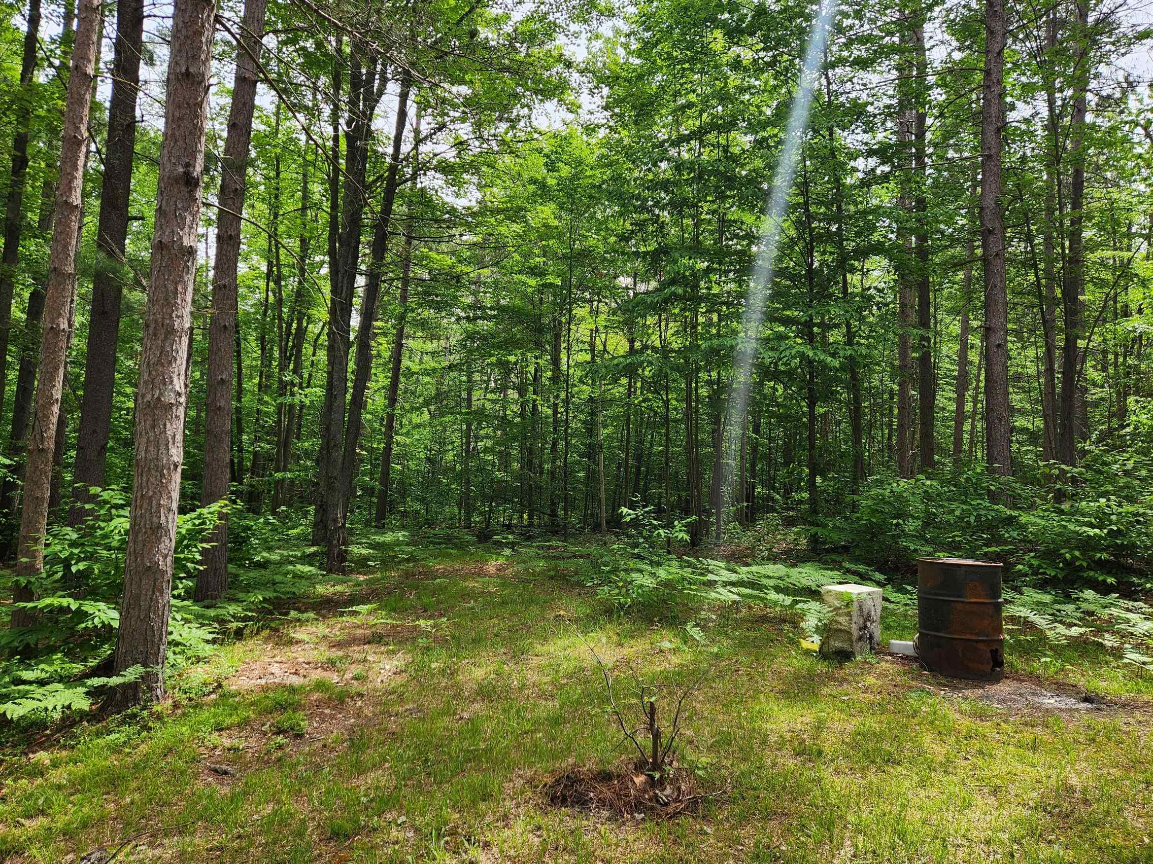 5364 Blue Lake Road Northeast, Unit LOT: K Kalkaska, MI 49646 - Photo 17 of 32