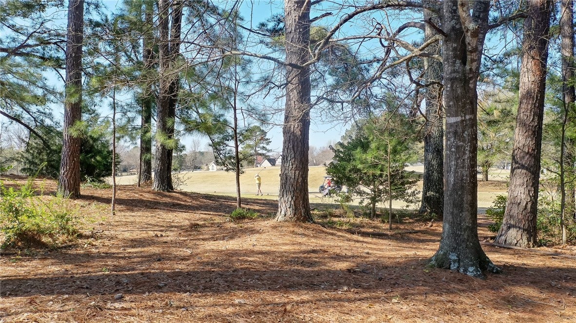 3302 Hamilton Road Opelika, AL 36804 - Photo 32 of 34 Gallery Image 32