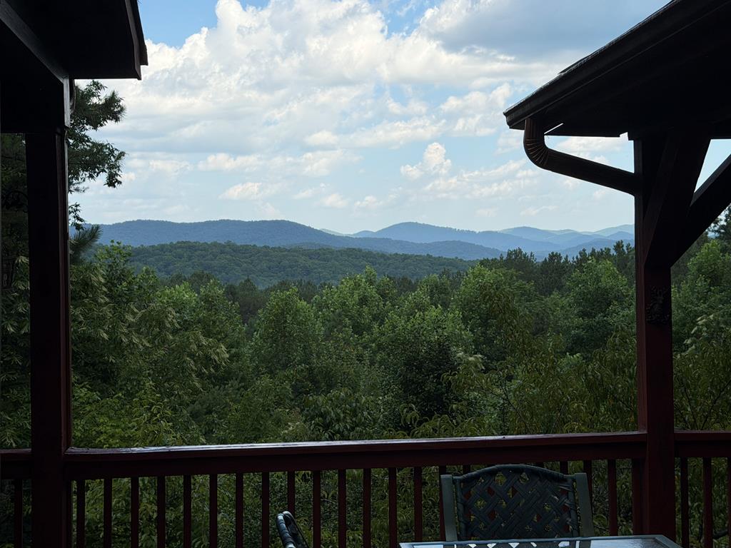 603 Red Berry Ridge Road Blue Ridge, GA 30513 - Photo 73 of 96 Gallery Image 73