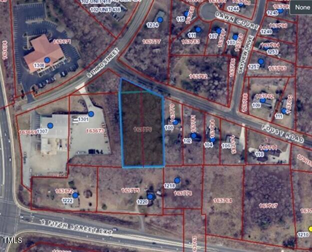 Lot 1 Foust Road Mebane, NC 27302 - Photo 3 of 5 30036_Image_3
