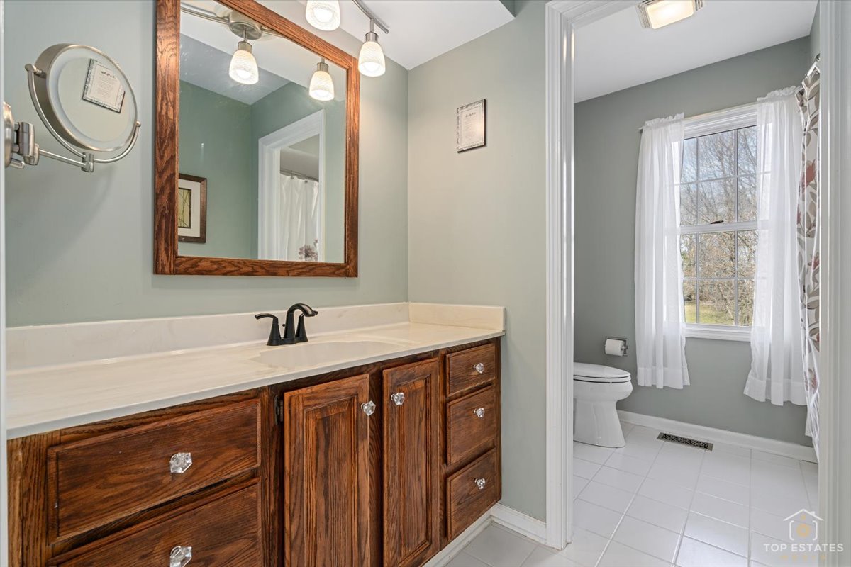 1506 Division Street St. Charles, IL 60174 - Photo 28 of 32 a bathroom with a sink a toilet and a mirror
